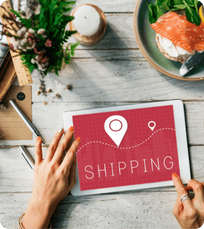 Logistics software development